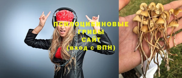 МДПВ Аркадак